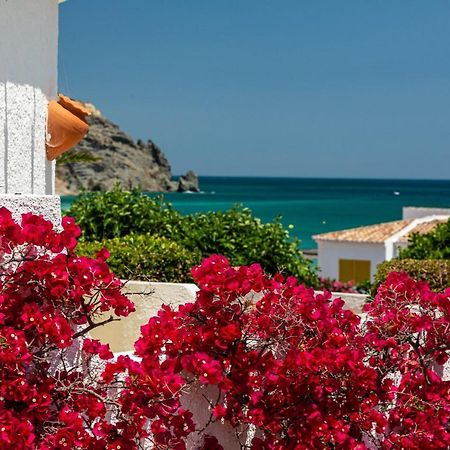 Lemon Tree Apartment Praia Da Luz Bagian luar foto